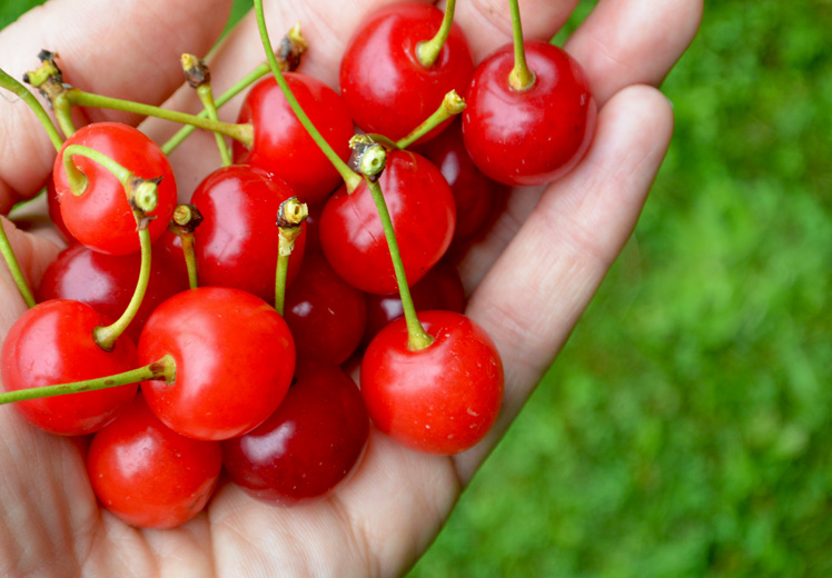 Cherry Floats | The Floating Kitchen