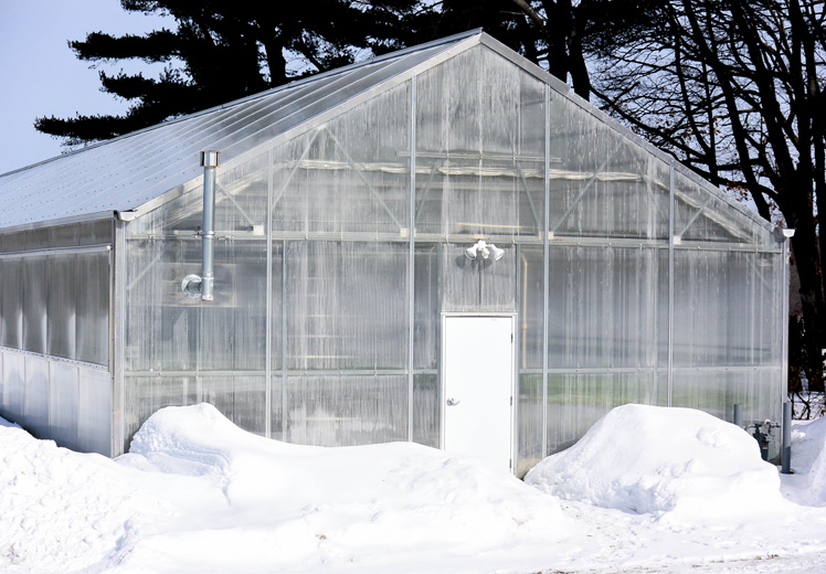Greenhouse-Outside