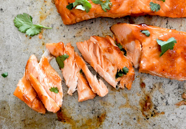 Sous Vide Cranberry-BBQ Salmon