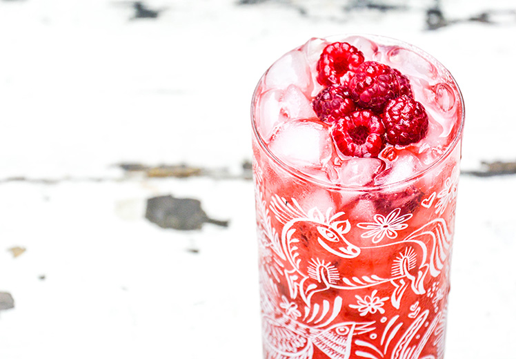 Raspberry and Brown Sugar Bourbon Fizz