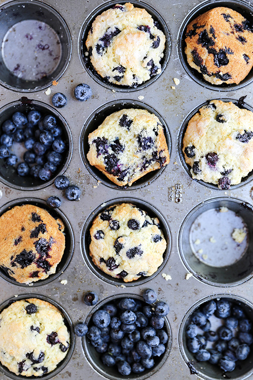 The Best Blueberry Muffins | www.floatingkitchen.net