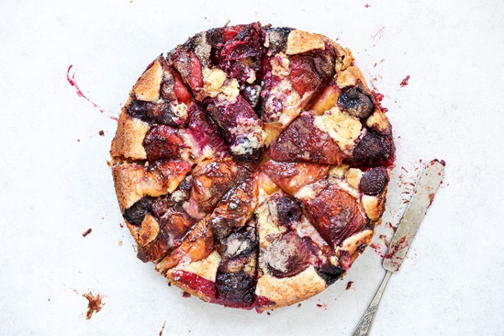 Rustic Stone Fruit Torte