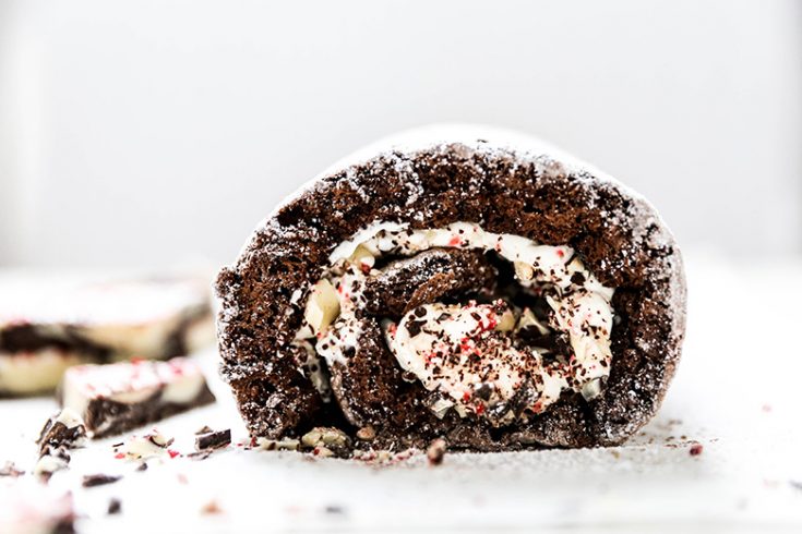 Mocha Peppermint Cream Roll Cake