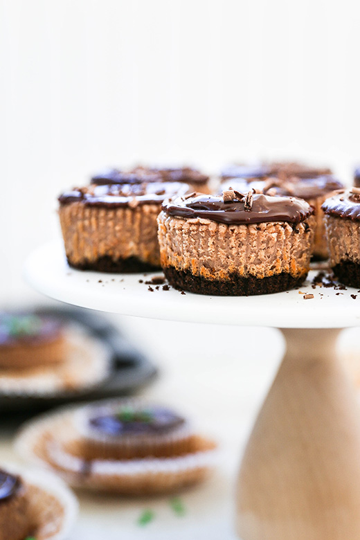 Irish Cream and Chocolate Mini Cheesecakes | www.floatingkitchen.net