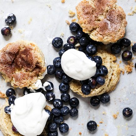 Snickerdoodle Blueberry Shortcakes | www.floatingkitchen.net