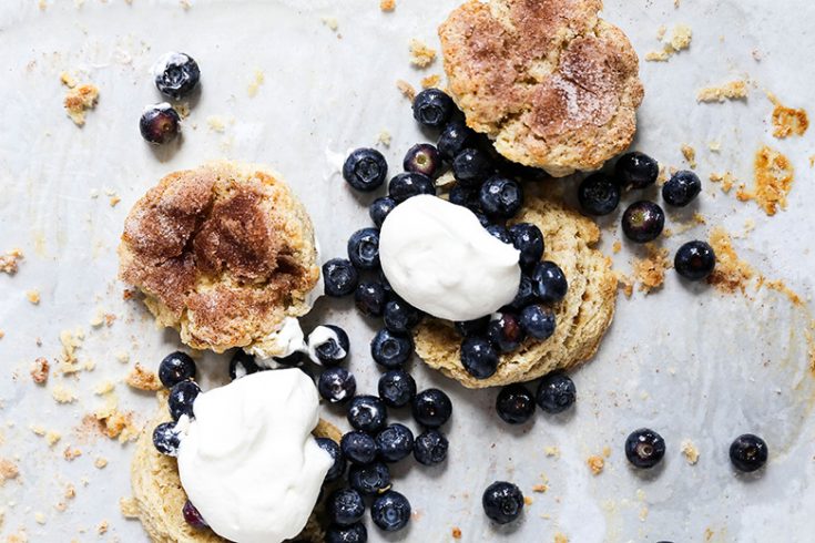 Snickerdoodle Blueberry Shortcakes