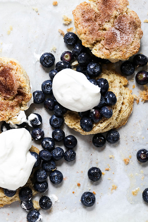 Snickerdoodle Blueberry Shortcakes | www.floatingkitchen.net