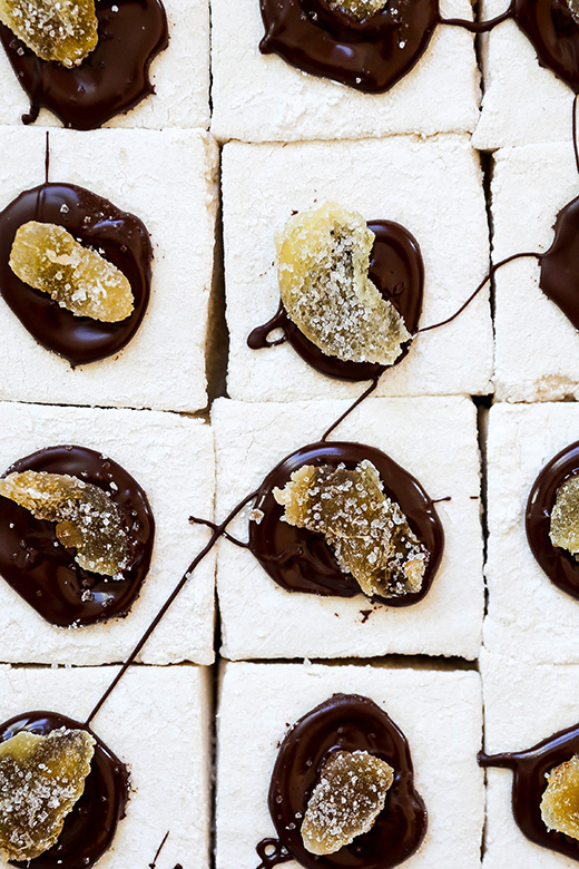 Jumbo Gingerbread Spiced Marshmallows | www.floatingkitchen.net