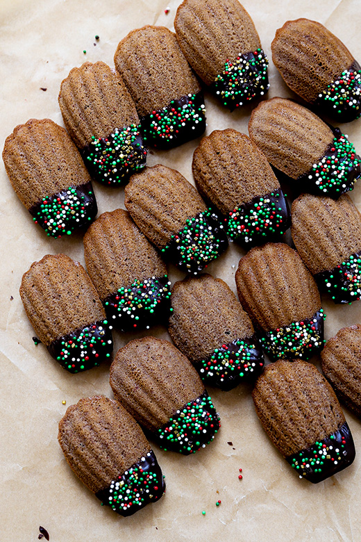 Chocolate Hazelnut Madeleines | www.floatingkitchen.net